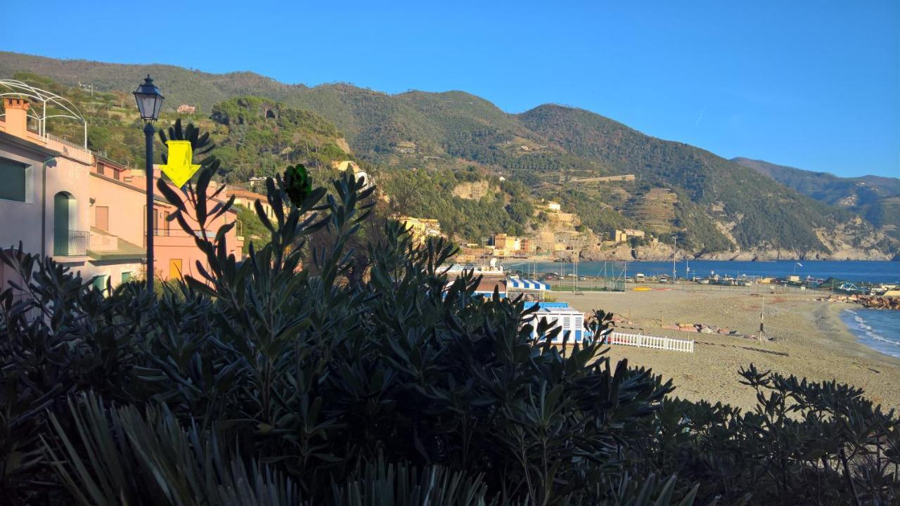 Palme Closetogigante Junior Suites Monterosso al Mare Room photo